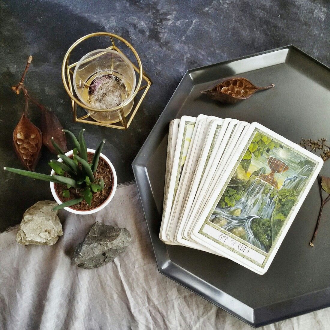 Tarotové karty hojnosti